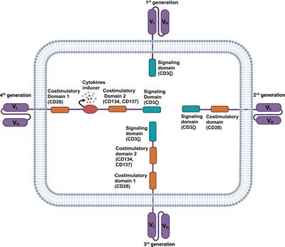 Antitumor activity of genetically engineered NK-cells in non-hematological solid tumor: a comprehensive review